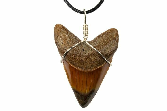 Fossil Megalodon Tooth Necklace #130984